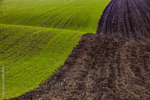 Obraz na płótnie Agricultural field in the spring at sunset. Rural landscape. Landscape with a plowed field. w salonie