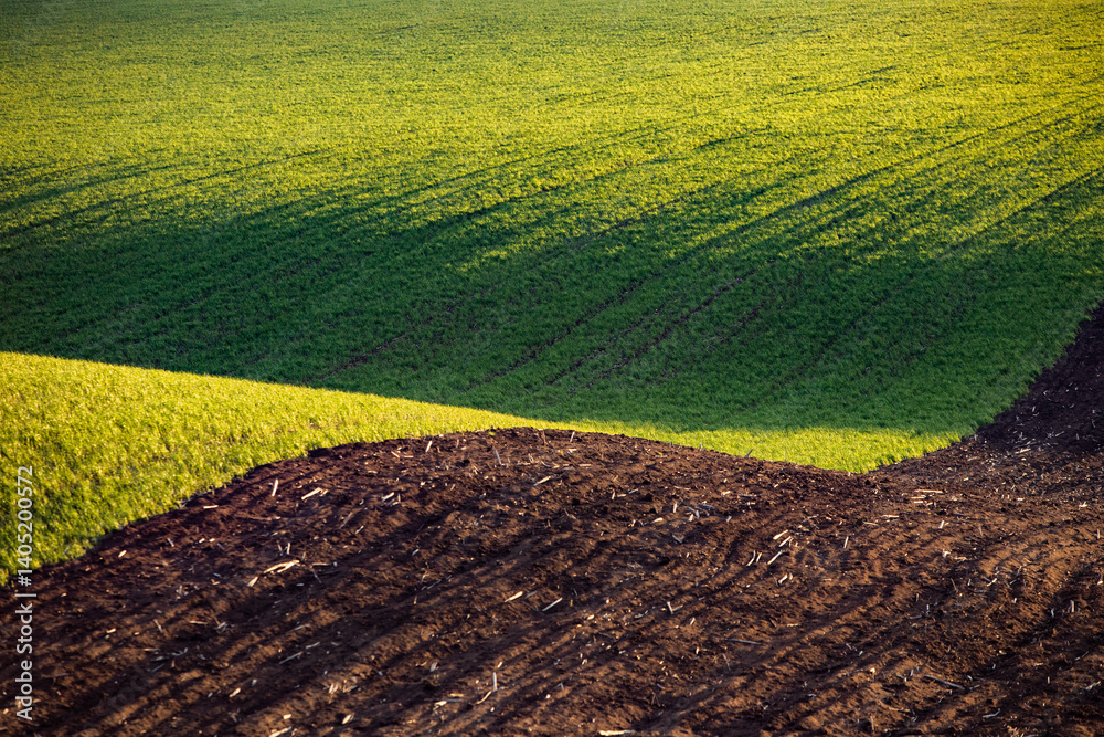 Agricultural field in the spring at sunset. Rural landscape. Landscape with a plowed field.