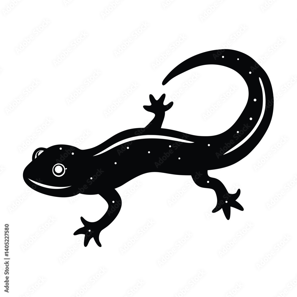 Naklejka premium newt vector