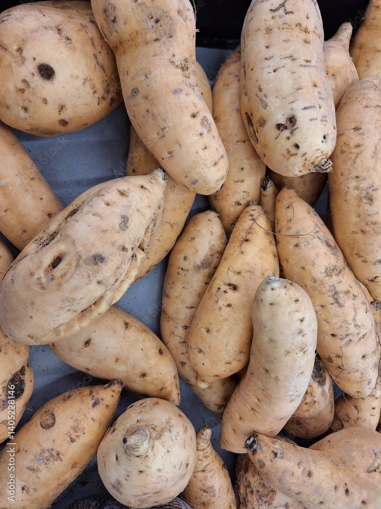 Pile of tan sweet potatoes with mottled skin, close-up. Pile of tan sweet potatoes with mottled skin, close-up.