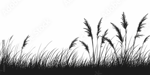 Elegant Black and White Grass and Reeds Silhouette. Minimalist Nature Photography and Botanical Vector Illustration