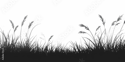 Minimalistic Silhouette of Grass and Foliage. A Tranquil Black and White Nature Background for Rural and Botanical Art Design