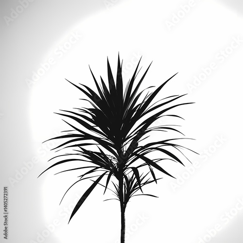 Monochrome Silhouette of Spiky Leaf. Minimalist Botanical Art for Modern Home Decor