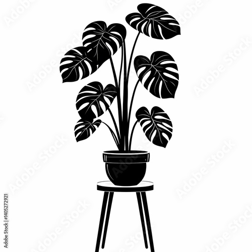 Elegant Monstera Houseplant. Stylish Indoor Greenery for Modern Minimalist Decor