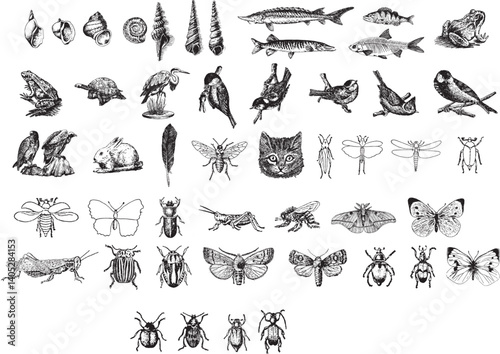 a set of black and white illustrations of various animals, vector set of animals, insects