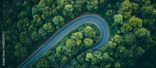 Aerial view of road winding through a dense forest