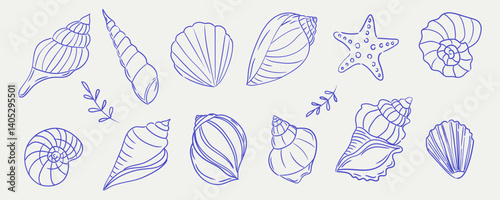 Seashell collection, summer beach, seashell set. Blue shells, poster, print.