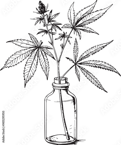 Marijuana Cannabis Hemp CBD HTC Black and White Vector Illustration, Sketch Drawing Line Linear Symbol Icon Engraving, Hand-drawn Isolated