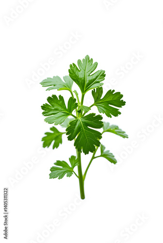 Vibrant chopped dry parsley leaves floating mid-air, isolated on crisp white background, ultra-realistic, clipping path included, perfect for food packaging and culinary design