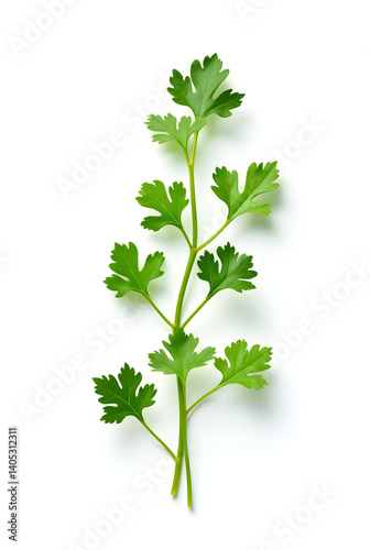 Vibrant chopped dry parsley leaves floating mid-air, isolated on crisp white background, ultra-realistic, clipping path included, perfect for food packaging and culinary design