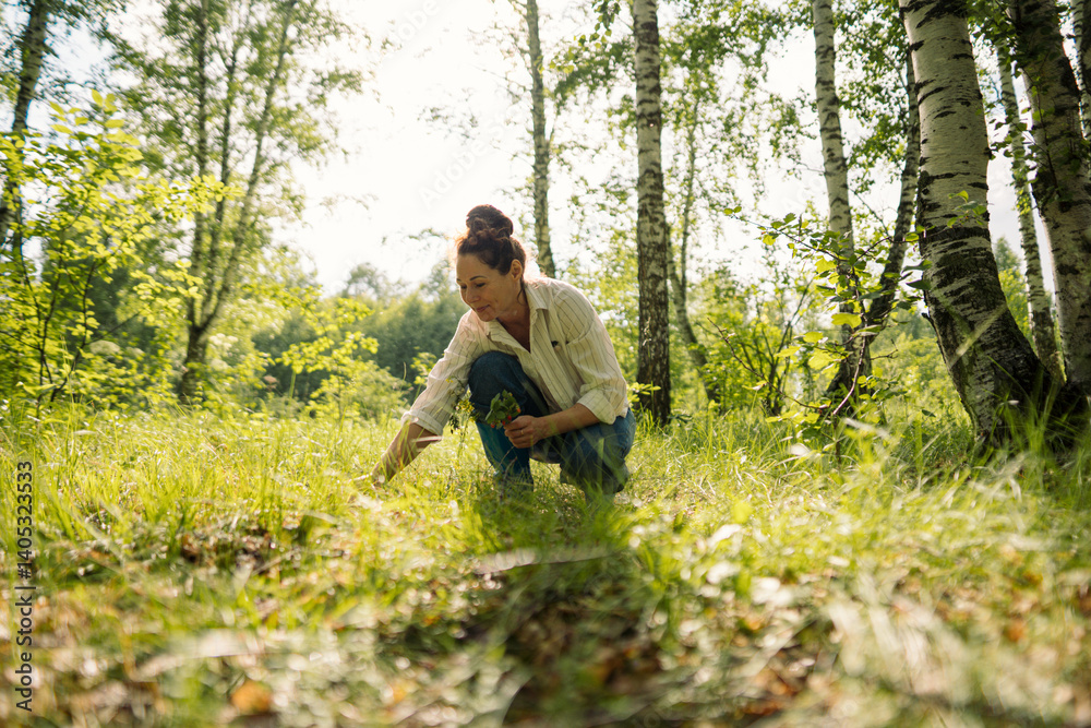 Woman collecting wild berries and plants in forest on summer day. Female enjoying leisure, healthy eating and natural lifestyle outdoors Woman collecting wild berries and plants in forest on summer day. Female enjoying leisure, healthy eating and natural lifestyle outdoors