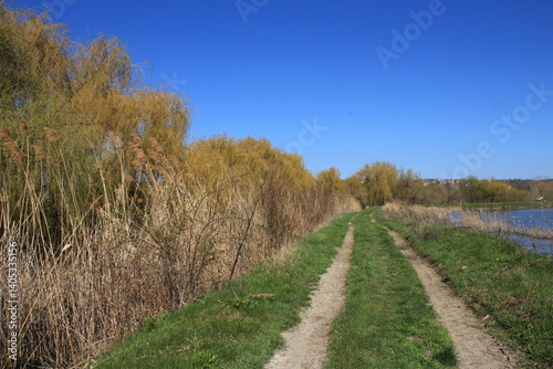 Obraz na płótnie A path through a field w salonie