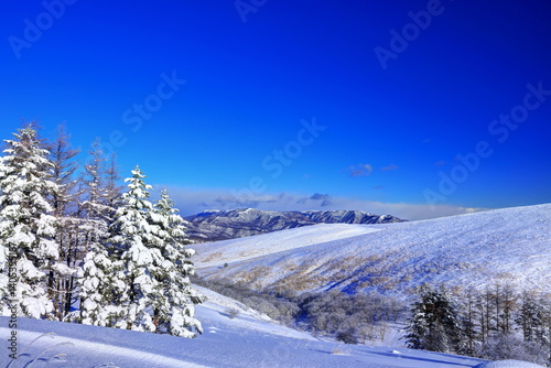 車山湿原の霧氷