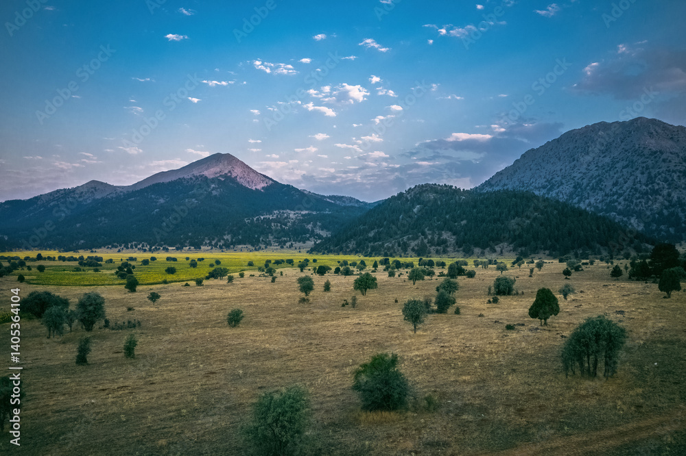 A lush green valley surrounded by mountains. A peaceful, idyllic mountainous landscape.