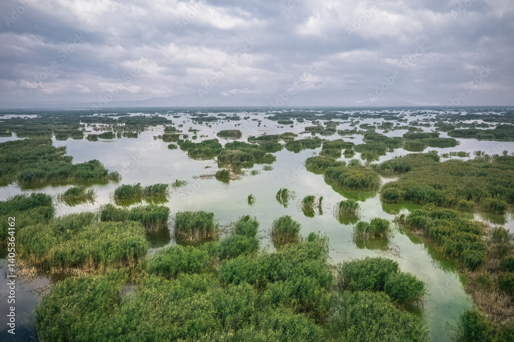 Eber Lake and its reeds. Unique reed landscapes in Afyonkarahisar province of Turkey. Aerial view of the lake with a drone.