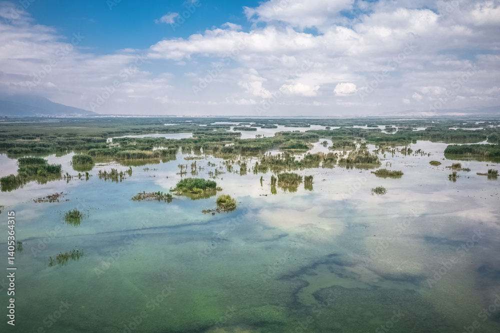 Eber Lake and its reeds. Unique reed landscapes in Afyonkarahisar province of Turkey. Aerial view of the lake with a drone.
