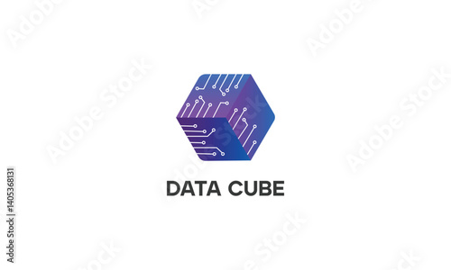 tech-themed data cube logo with circuit pattern