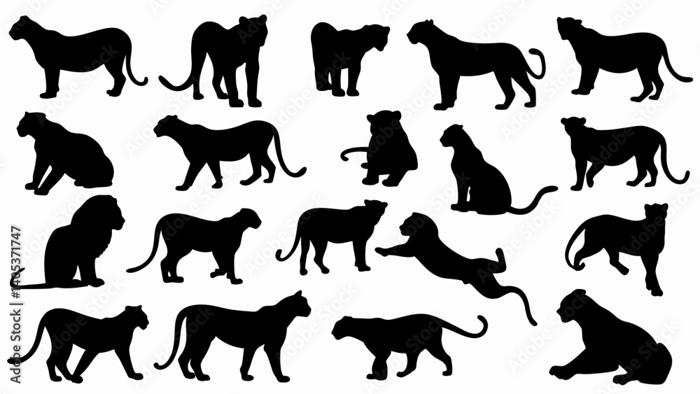 set of lionesses silhouette vector on white background set of lionesses silhouette vector on white background
