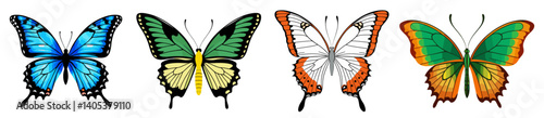Set of elegant exotic butterflies vector isolated.