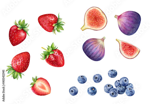 Watercolor realistic botanical illustration of the summer ripe berries: srawberries, blueberries and figs