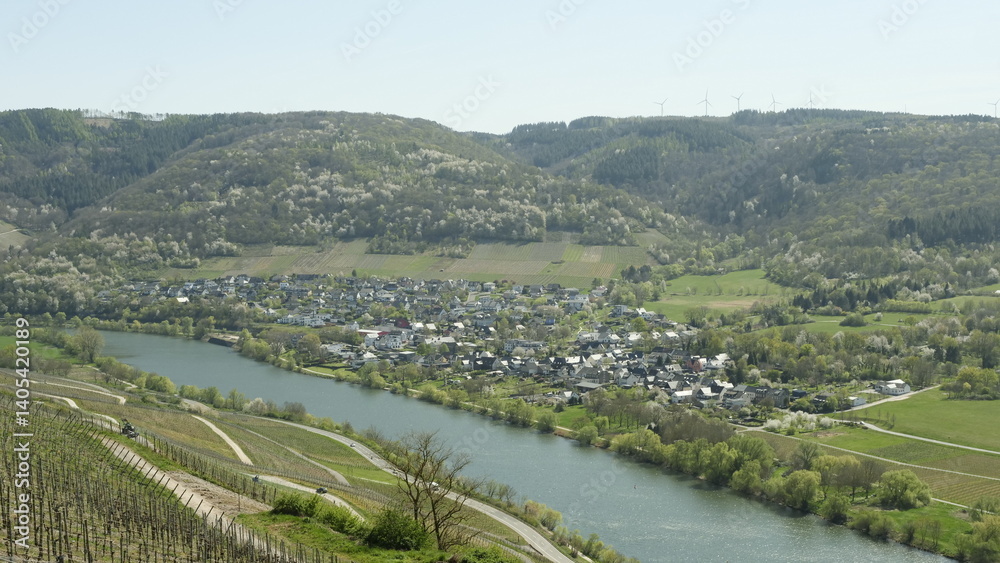 Naklejka premium Andel an der Mosel