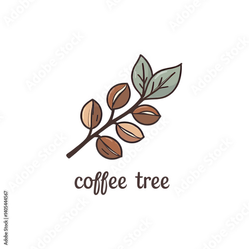 Coffee Tree Branch with Brown Beans and Green Leaves