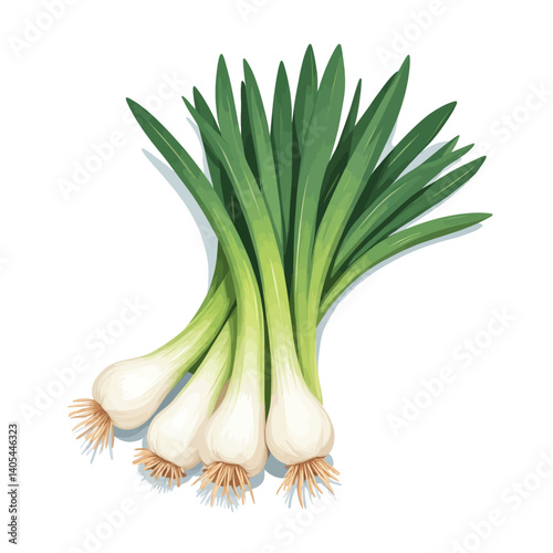 Fresh Green Onions Bunch with Roots on White