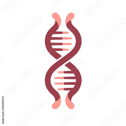 Stylized DNA strand in maroon and peach tones