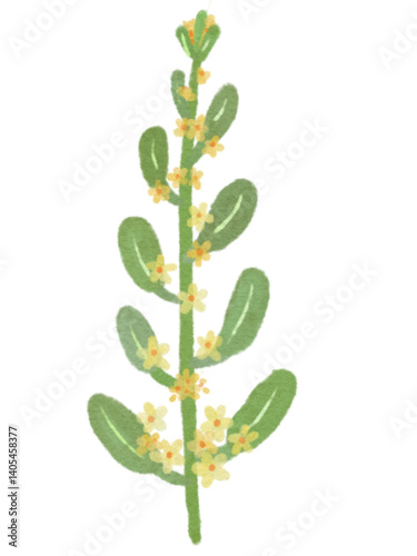 Minimal cute flowers 