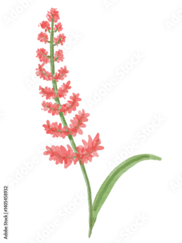 Minimal cute flowers 
