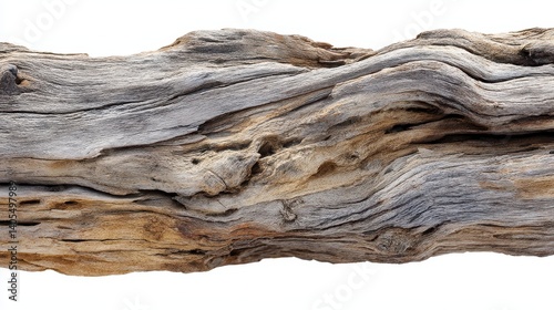 Detailed view of an aged wooden log with rich textures and tones.