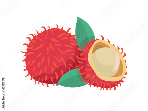 Rambutan, Chom Chom. Flat vector, clipart illustration isolated on white background.