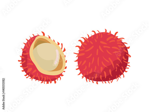 Rambutan, Chom Chom. Flat vector, clipart illustration isolated on white background.