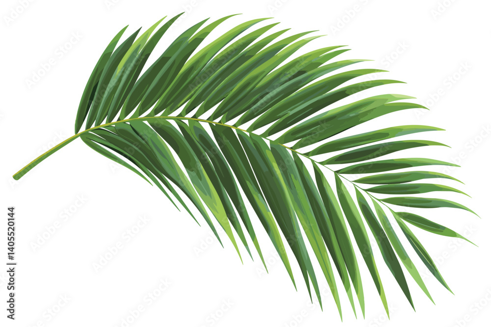 Set of tropical leaves on a white background. Set of tropical leaves on a white background.