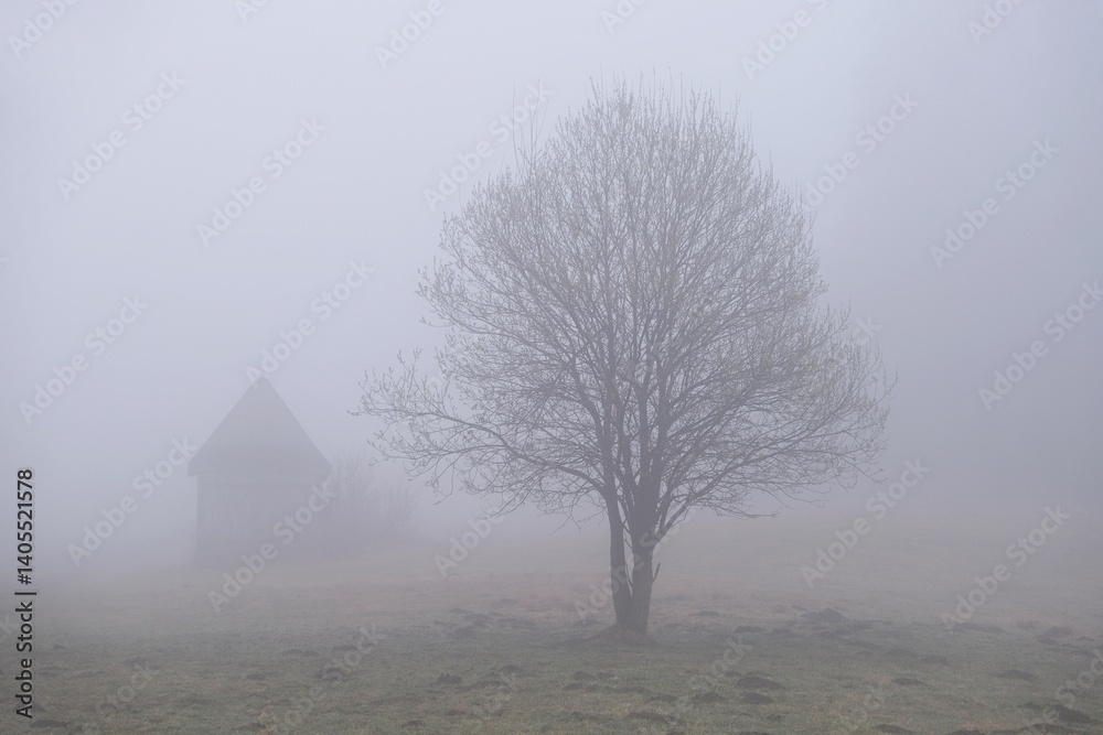 Very misty scenery of hills with wooden hut and trees.