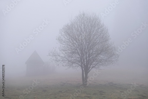 Obraz na płótnie Very misty scenery of hills with wooden hut and trees. w salonie
