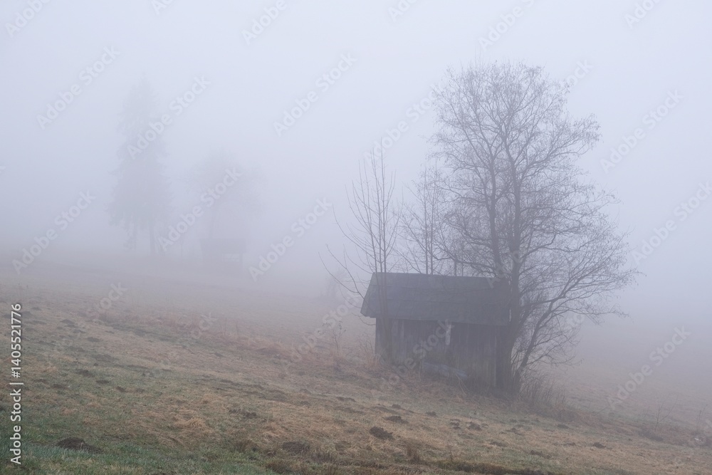 Very misty scenery of hills with wooden hut and trees.