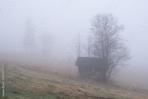 Obraz na płótnie Very misty scenery of hills with wooden hut and trees. w salonie