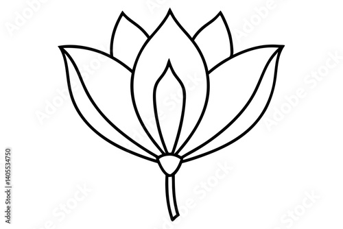 tulip poplar flower line art vector illustration