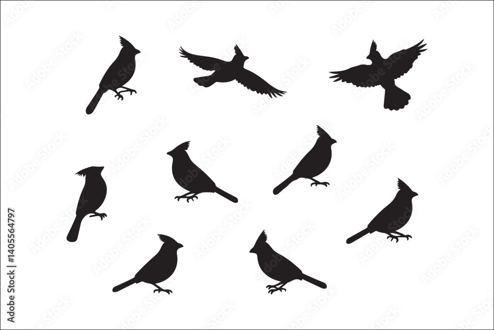 Fototapeta premium Bird Silhouette Bundle | Flying Birds Vector Clipart | SVG, PNG, EPS for Cricut & Laser CuttingBirds Vector Silhouettes | Wildlife Animal SVG Files | Digital Bird Clipart for Crafts & DecorFlying