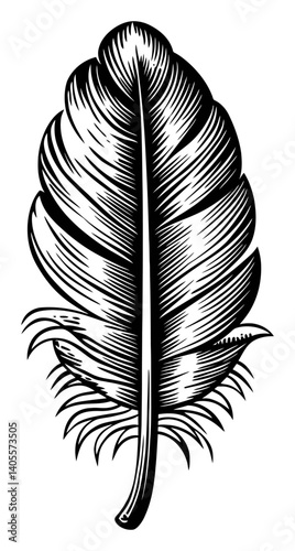 Intricate Black and White Engraving of a Feather Design