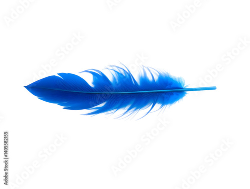 A blue bird feather on transparent background 