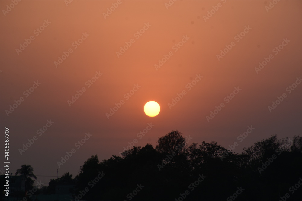 Silhouetted trees and urban skyline against a vibrant orange sunset, perfect for lifestyle blogs or cityscape-themed projects. Silhouetted trees and urban skyline against a vibrant orange sunset, perfect for lifestyle blogs or cityscape-themed projects.