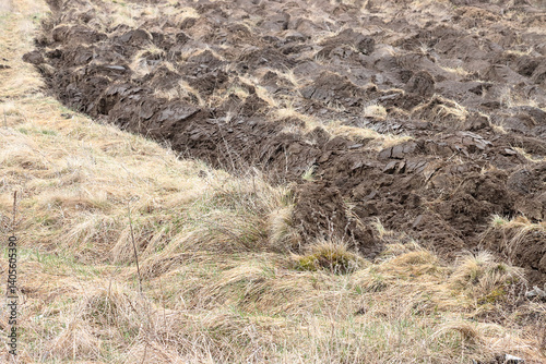 Valokuva Firebreak in a meadow with dry grass in mid-spring