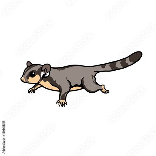 Sugar Glider in Flight: An adorable sugar glider glides gracefully against a clean backdrop, its unique physique showcasing its agility and charm.