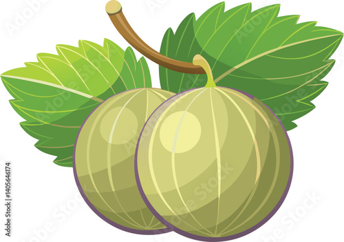 A vibrant, detailed vector art illustration of beautiful gooseberries, showcasing fresh, colorful fruit with artistic flair and natural appeal.