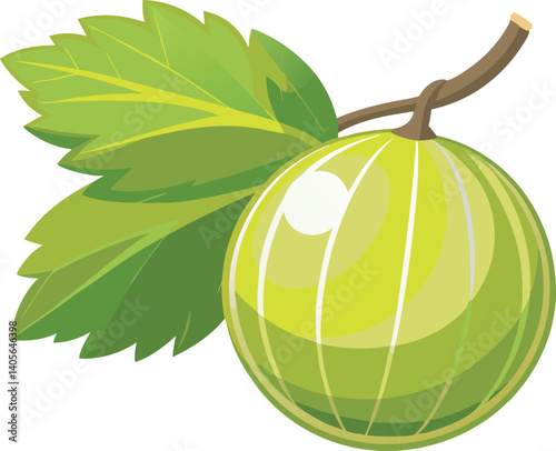 A vibrant, detailed vector art illustration of beautiful gooseberries, showcasing fresh, colorful fruit with artistic flair and natural appeal.