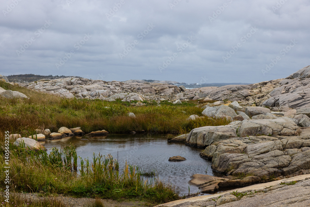 Fototapeta premium In land pool of water surrounded by large stone granite surface and mossy grassy vegetation in Peggys Cove Nova Scotia