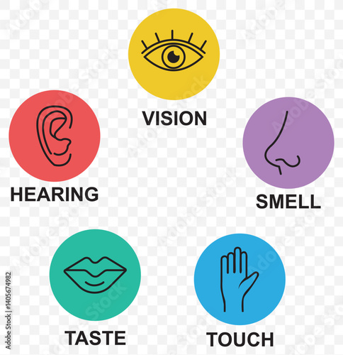 Five senses of human nervous system vector illustration. Vision through eye, smell with nose, taste with tongue line icon set. Variety Design 5 Five senses. EPS 10.