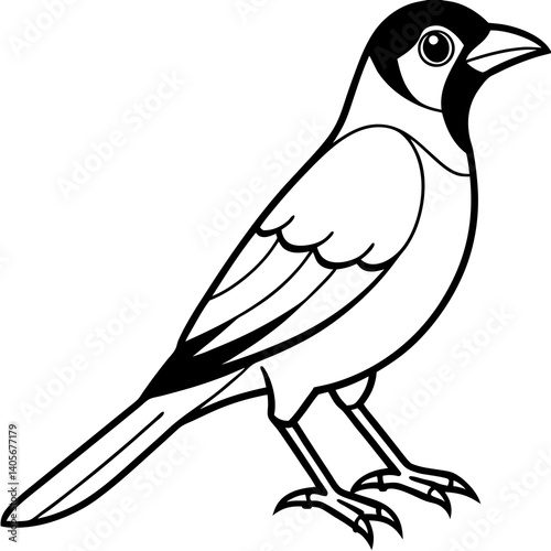animal icon design
